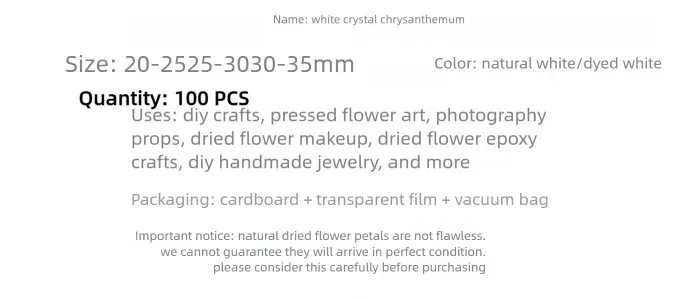 100 mini fleurs séchées pour résine et bijoux