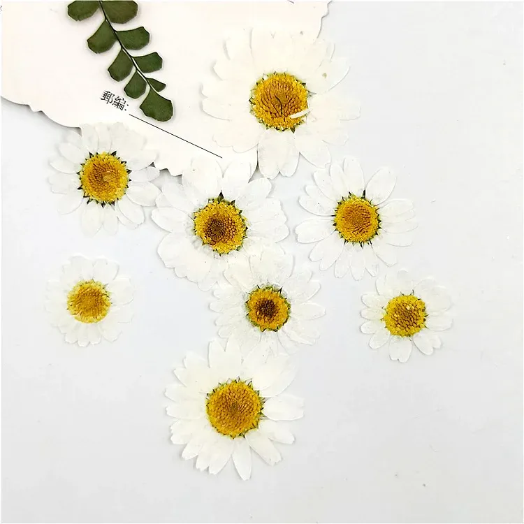 100 mini fleurs séchées pour résine et bijoux