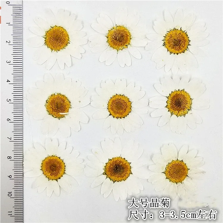 100 mini fleurs séchées pour résine et bijoux