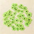 100 mini fleurs séchées pressées pour résine et bijoux – 1
