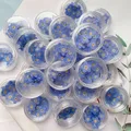 100 mini fleurs séchées pressées pour résine et bijoux – 4