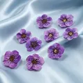 100 mini fleurs séchées pressées pour résine et bijoux – Couleur Color-1
