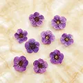 100 mini fleurs séchées pressées pour résine et bijoux – Couleur Color-7