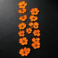 100 mini fleurs séchées pressées pour résine et bijoux – Couleur Color-8