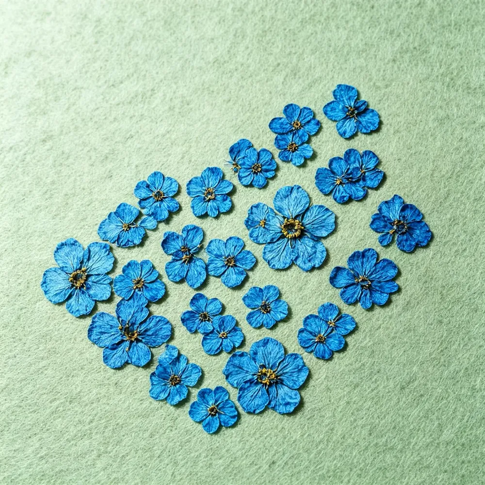 100 mini fleurs séchées pressées pour résine et bijoux