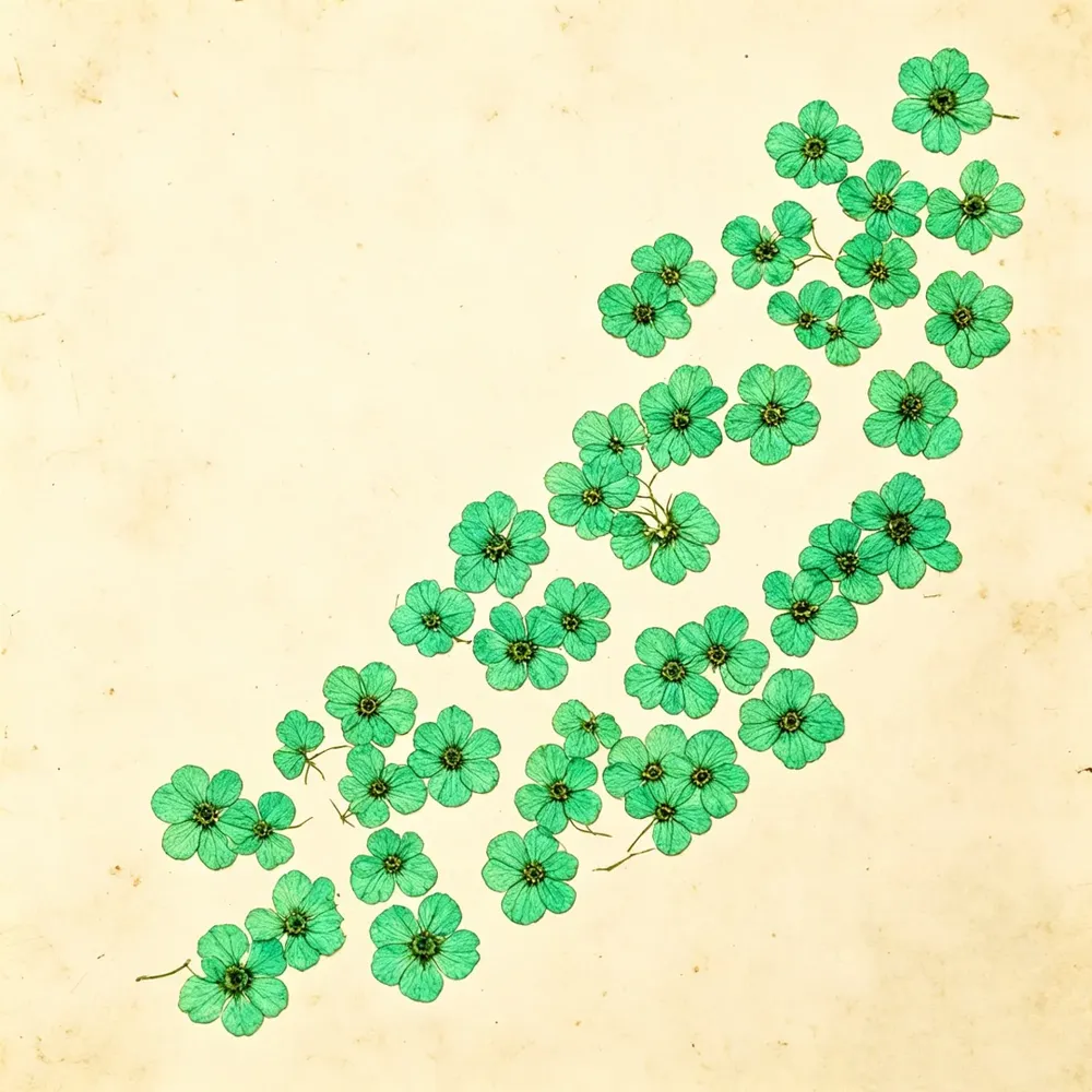 100 mini fleurs séchées pressées pour résine et bijoux