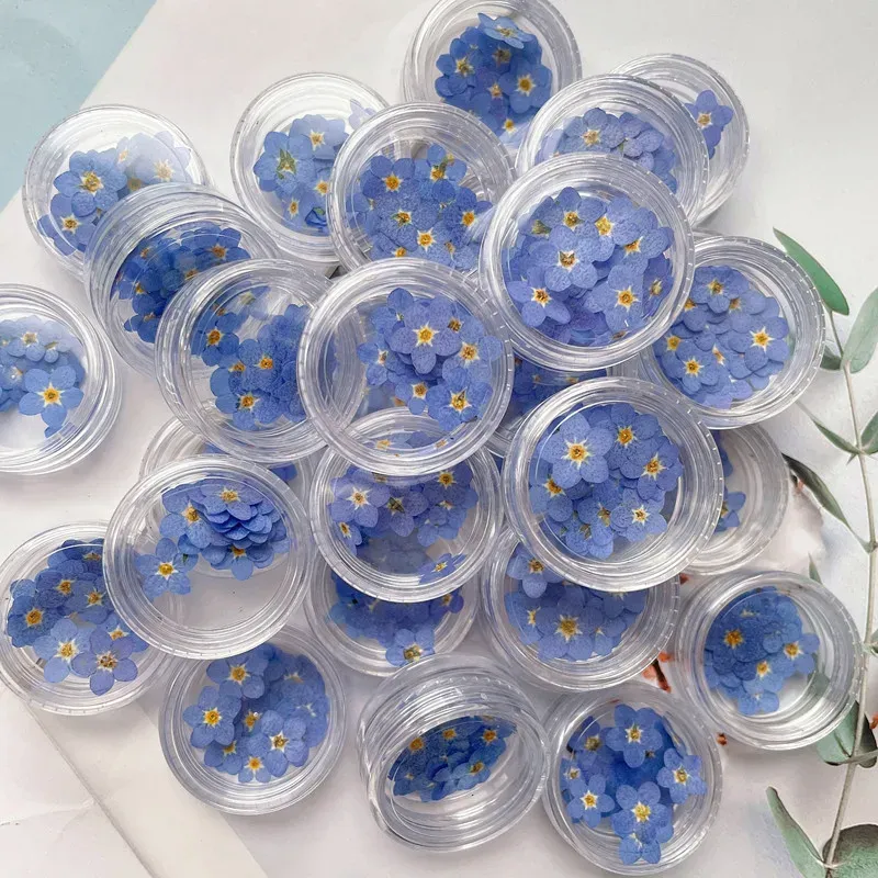 100 mini fleurs séchées pressées pour résine et bijoux