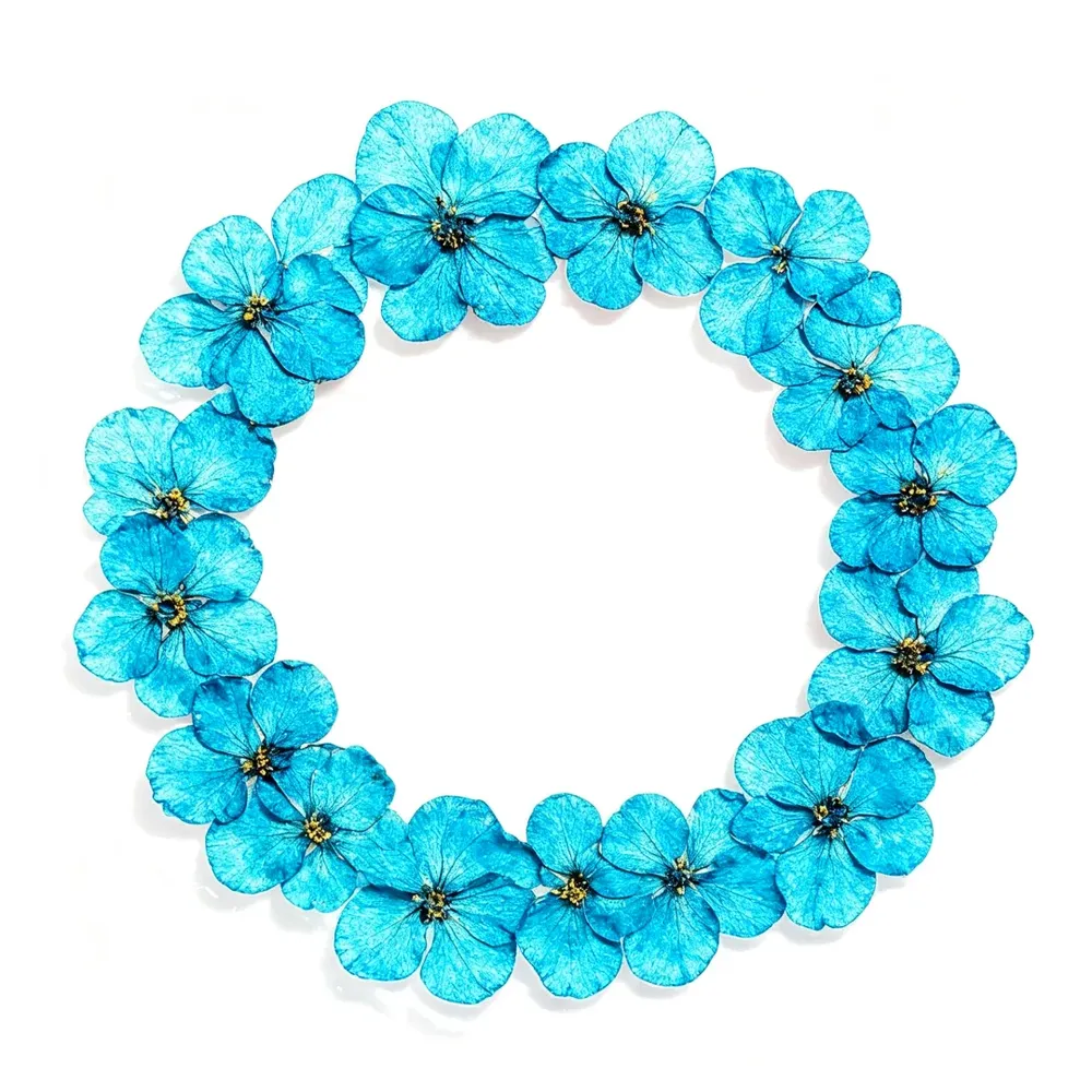 100 mini fleurs séchées pressées pour résine et bijoux