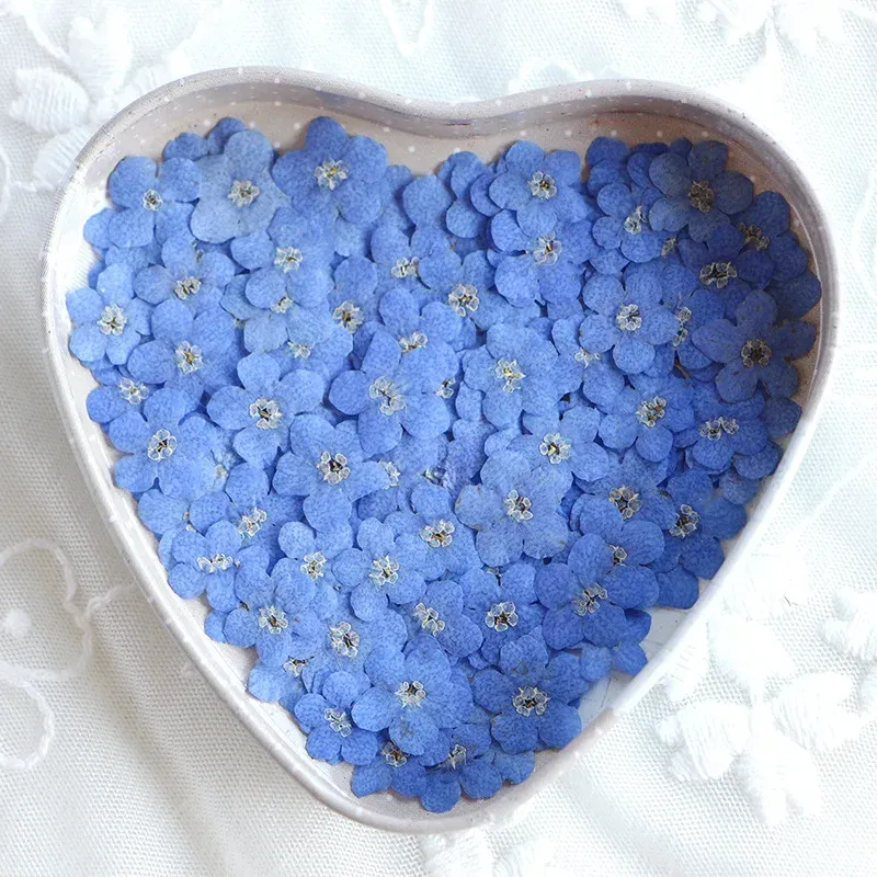 100 mini fleurs séchées pressées pour résine et bijoux