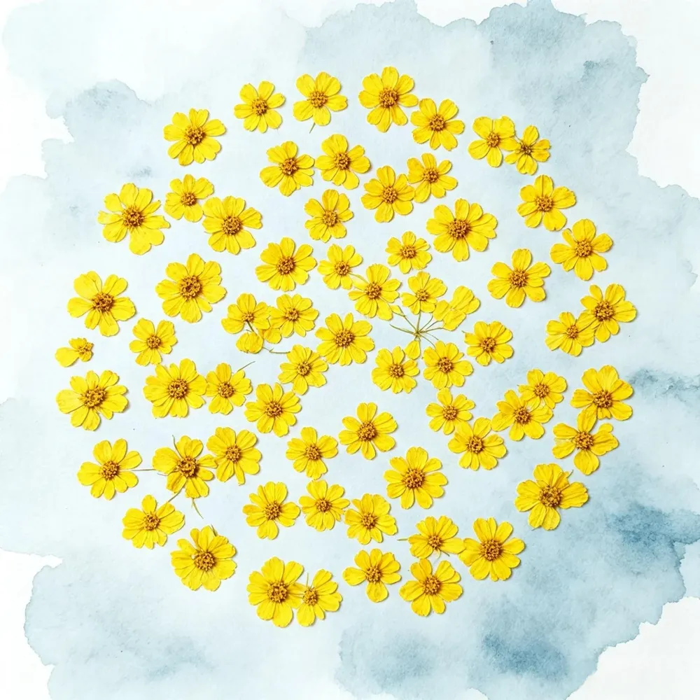 100 mini fleurs séchées pressées pour résine et bijoux