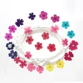 12 fleurs séchées pour résine et nail art – 2