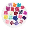 12 fleurs séchées pour résine et nail art – 5