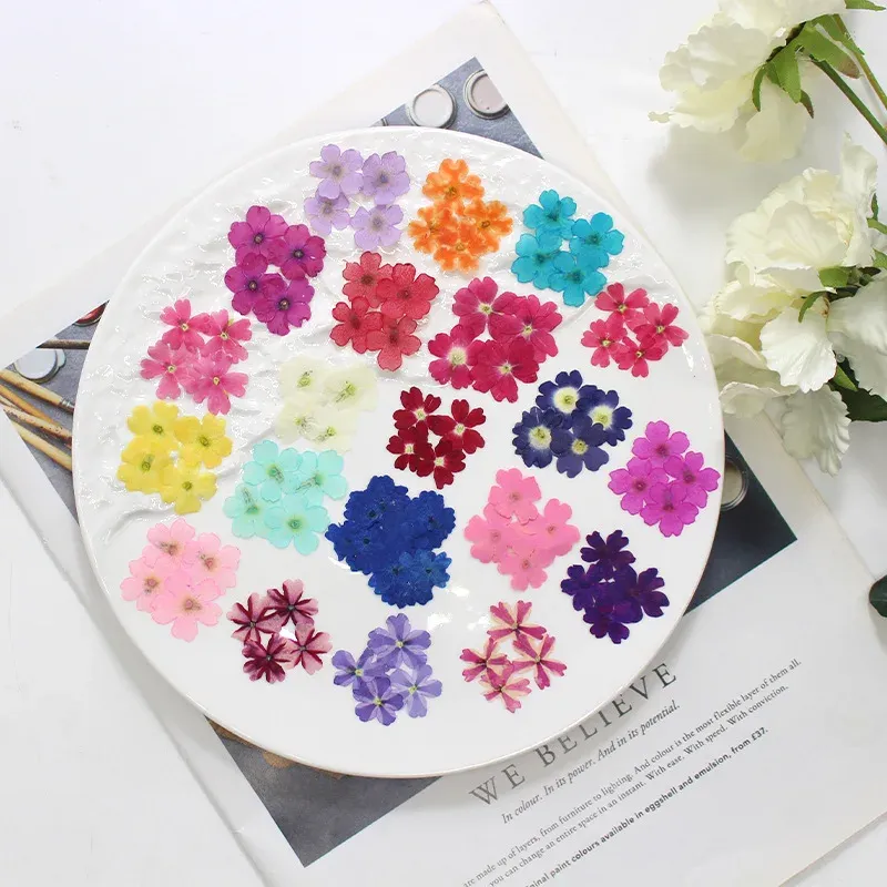 12 fleurs séchées pour résine et nail art