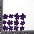 12 fleurs séchées pour résine et nail art – Couleur Dark purple (dyed)