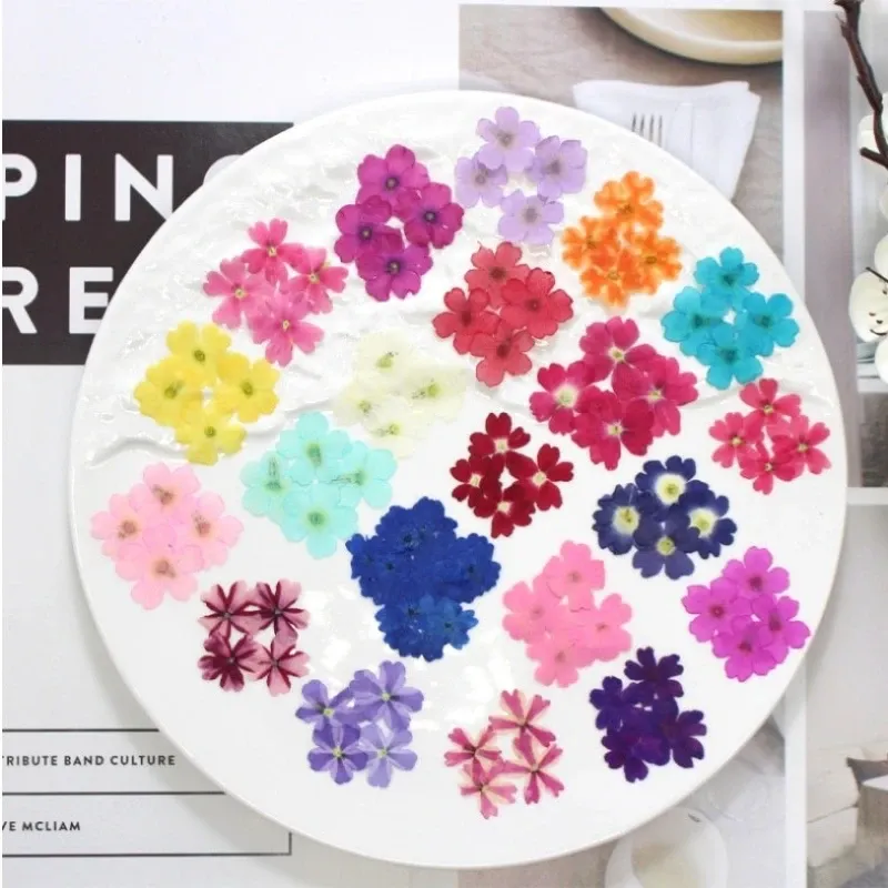 12 fleurs séchées pour résine et nail art
