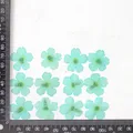 12 fleurs séchées pour résine et nail art – Couleur Light blue (dyed)