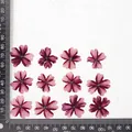 12 fleurs séchées pour résine et nail art – Couleur Lollipop Pink Purple
