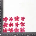 12 fleurs séchées pour résine et nail art – Couleur Rose red small