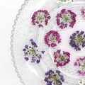 120 fleurs séchées pressées pour résine et bijoux – 1