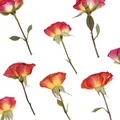 120 fleurs séchées pressées pour résine et bijoux – 3