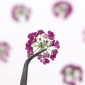 120 fleurs séchées pressées pour résine et bijoux – 6