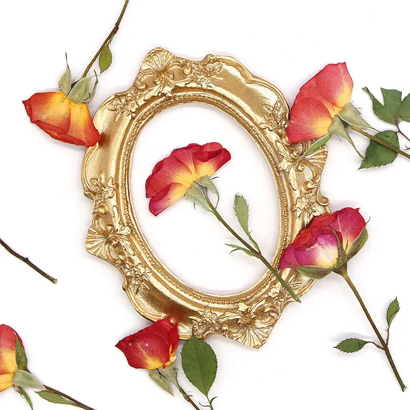 120 fleurs séchées pressées pour résine et bijoux