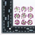 120 fleurs séchées pressées pour résine et bijoux – Couleur Fuchsia