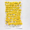 120 petites fleurs séchées pressées pour résine et bijoux – 1