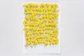 120 petites fleurs séchées pressées pour résine et bijoux – Couleur 1000Pcs