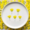 120 petites fleurs séchées pressées pour résine et bijoux – 2