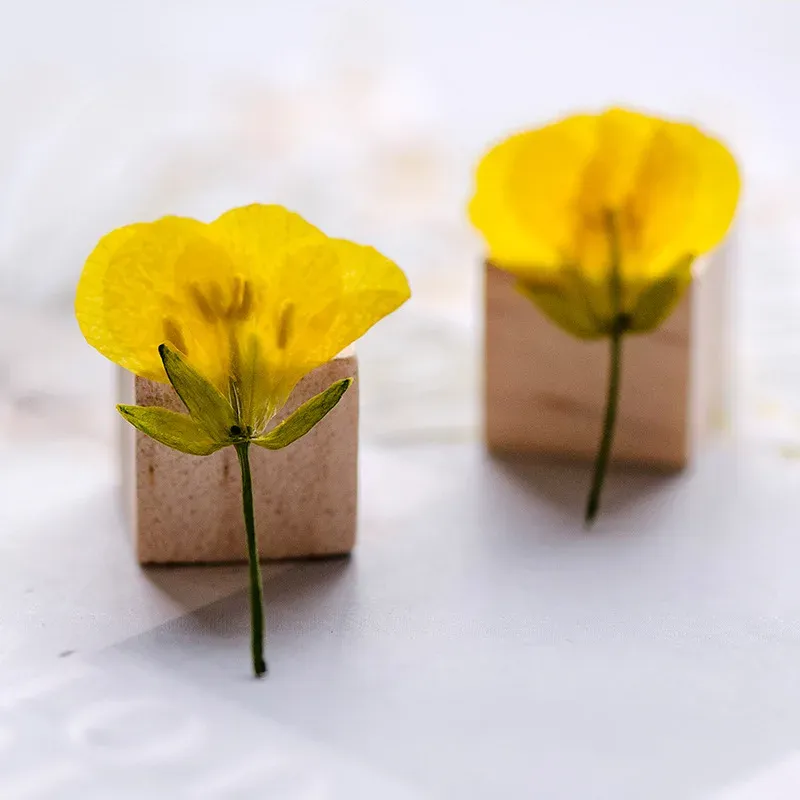 120 petites fleurs séchées pressées pour résine et bijoux