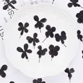 24 fleurs séchées noires pour résine et marque-pages – 1