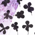 24 fleurs séchées noires pour résine et marque-pages – 5