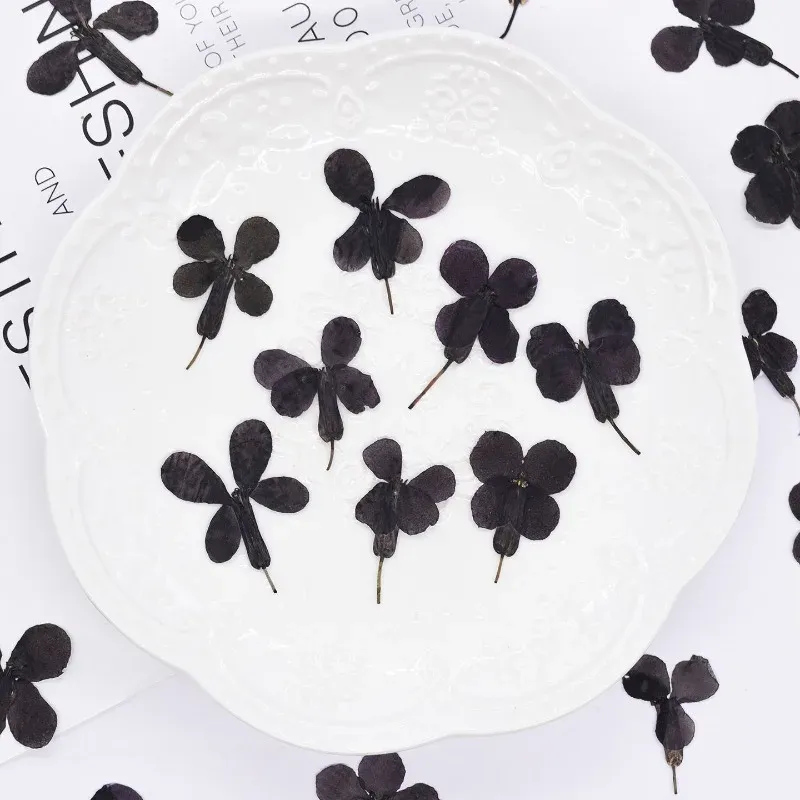 24 fleurs séchées noires pour résine et marque-pages