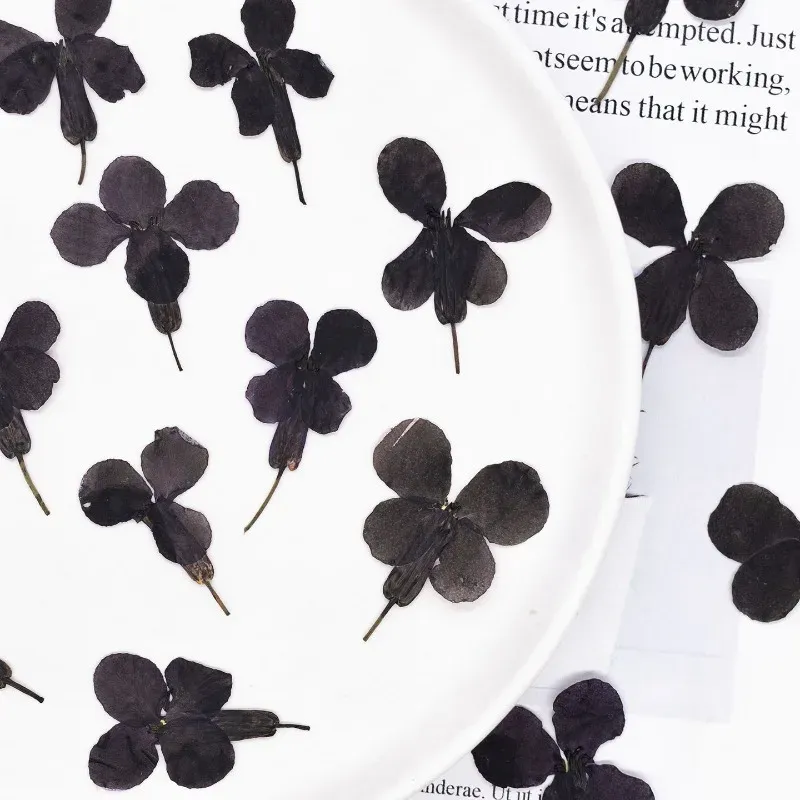 24 fleurs séchées noires pour résine et marque-pages