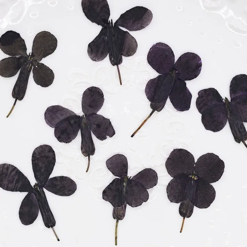 24 fleurs séchées noires pour résine et marque-pages