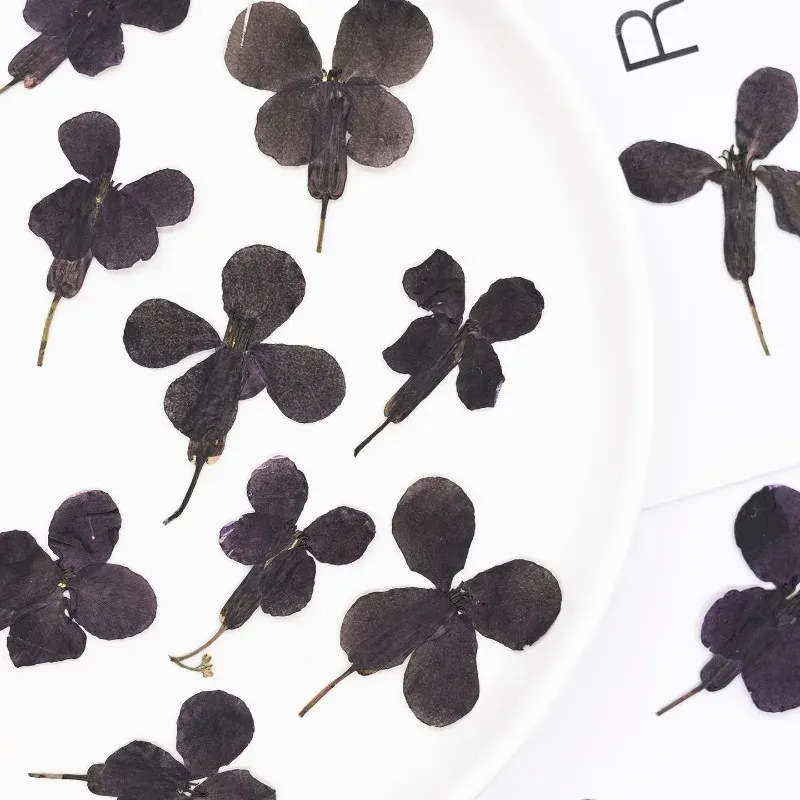 24 fleurs séchées noires pour résine et marque-pages