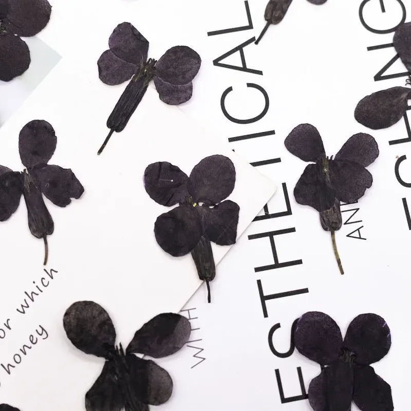 24 fleurs séchées noires pour résine et marque-pages