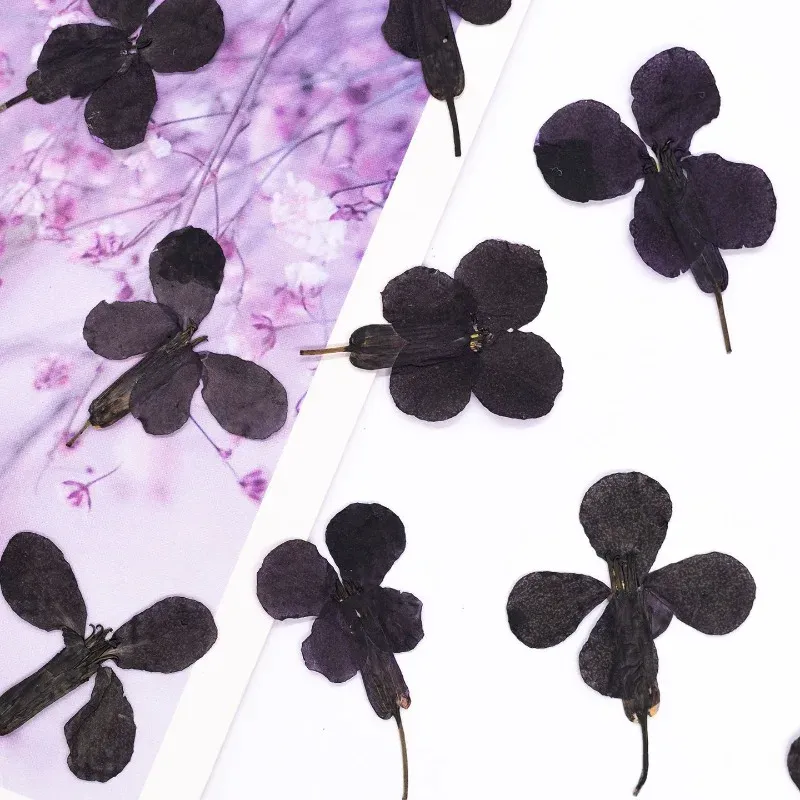 24 fleurs séchées noires pour résine et marque-pages