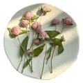 40 fleurs séchées pressées pour résine et marque-pages – 6