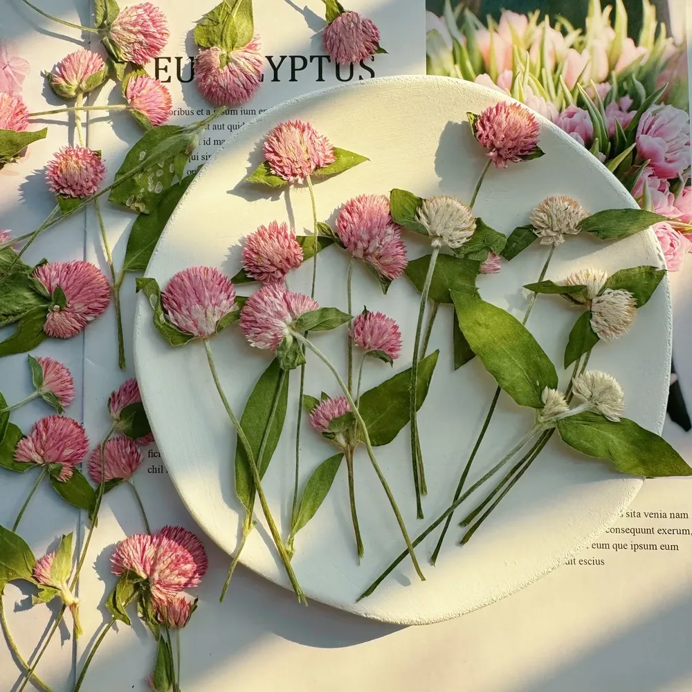 40 fleurs séchées pressées pour résine et marque-pages