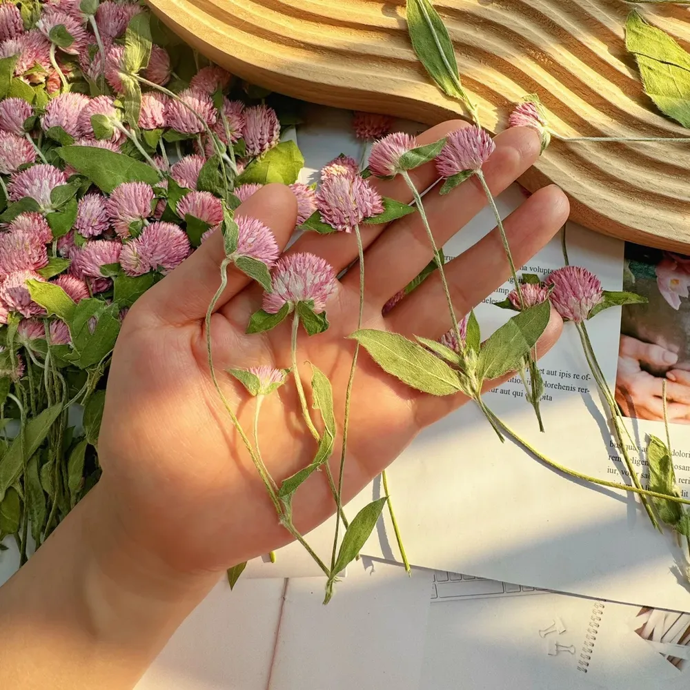 40 fleurs séchées pressées pour résine et marque-pages