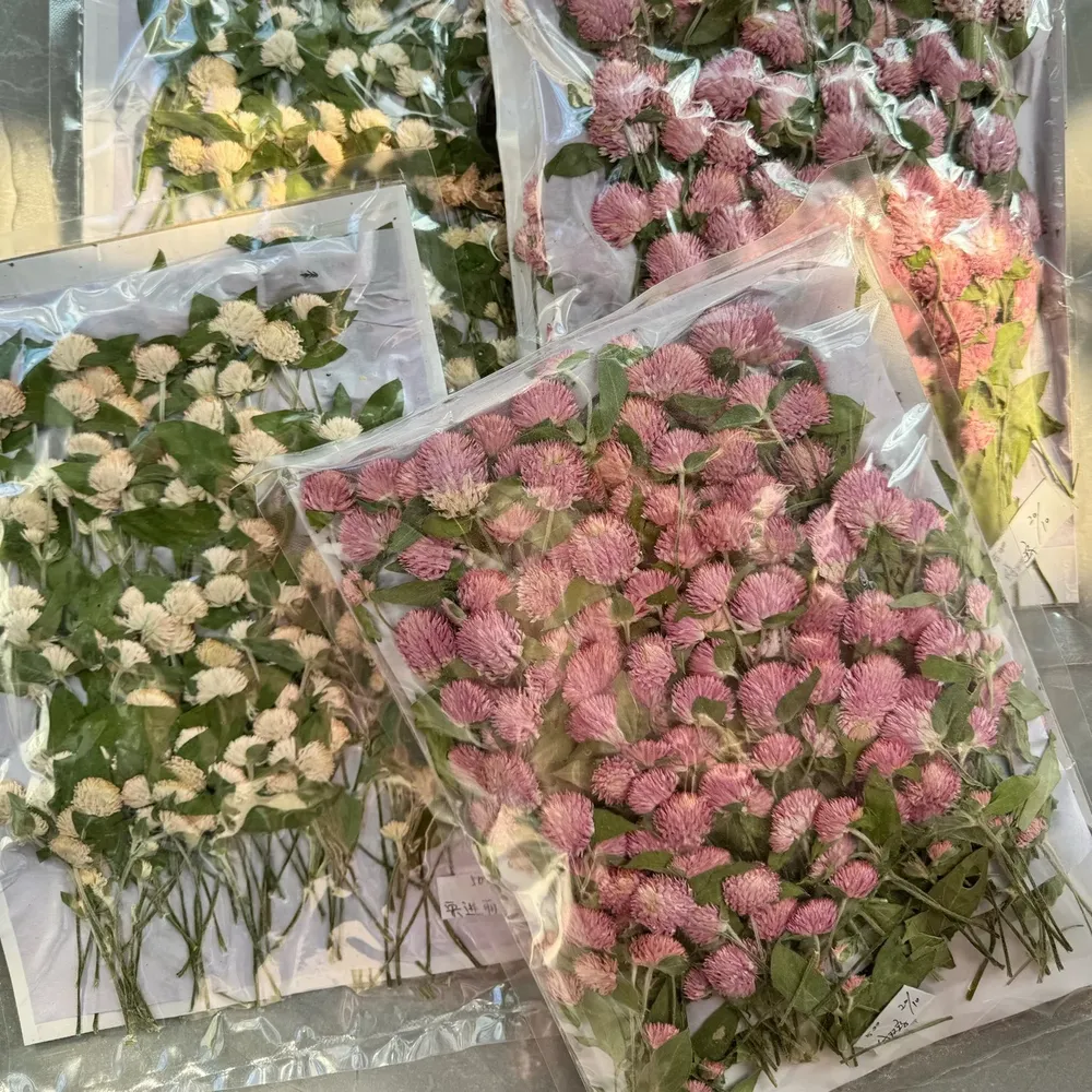 40 fleurs séchées pressées pour résine et marque-pages
