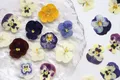 5 paquets fleurs de bleuet pressées pour résine et maquillage – 5