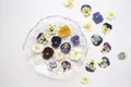 5 paquets fleurs de bleuet pressées pour résine et maquillage – 6