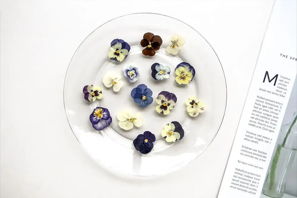 5 paquets fleurs de bleuet pressées pour résine et maquillage