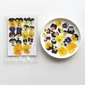 5 paquets fleurs de bleuet pressées pour résine et maquillage – Couleur Random