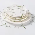 60 feuilles et fleurs séchées pressées pour résine – 2