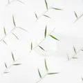 60 feuilles et fleurs séchées pressées pour résine – 6