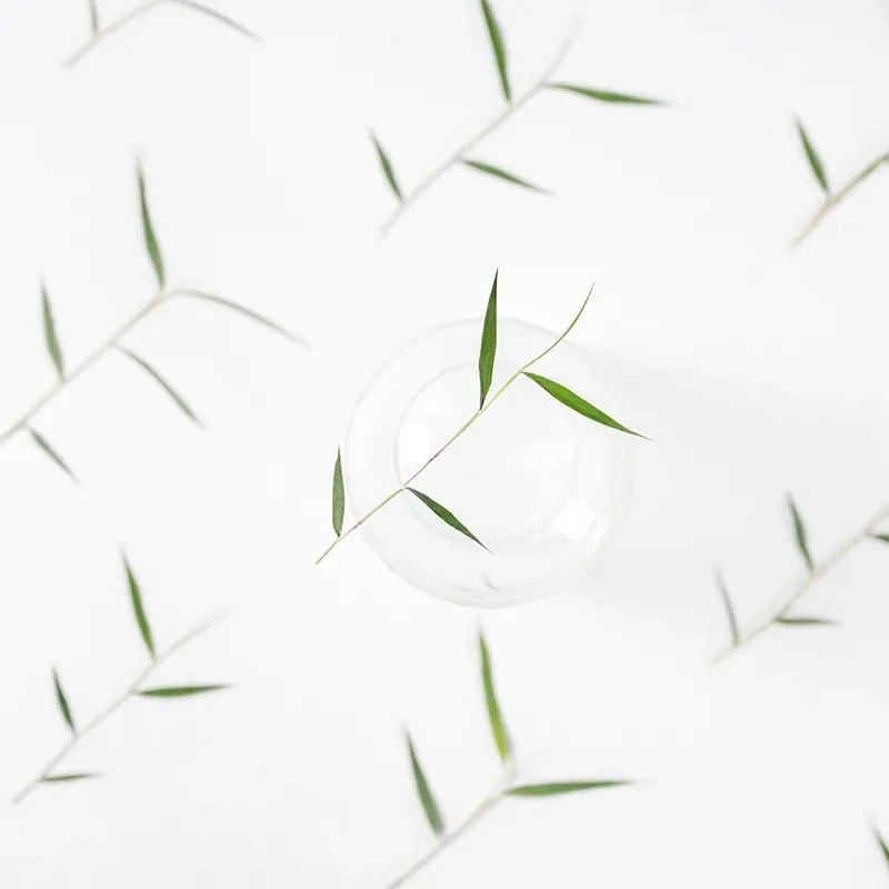 60 feuilles et fleurs séchées pressées pour résine